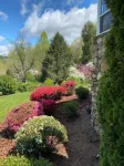 Asheville fresh mountain air