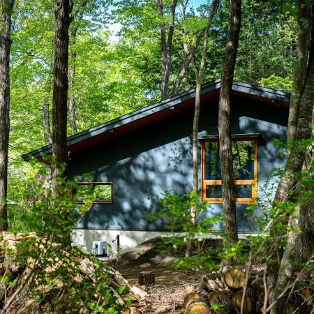 Nold forest house