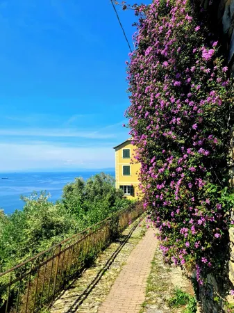 Il Sogno del Capitano