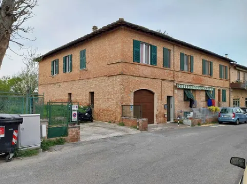 Orchid Outside the Pispini Gate