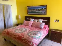 Beautiful 2 bedroom apartment in la Cruz