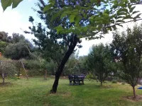 Pigna: Charming village house, 5 km from the sea, vaulted and whitewashed