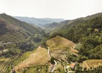 Villa with pool in the Douro Valley