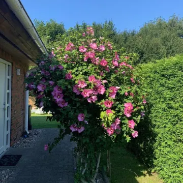 Vacation cottage Schaletzki in Barth