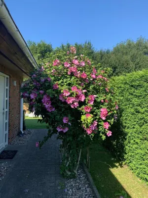 Vacation cottage Schaletzki in Barth