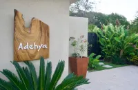 Adehya the Villa Hotels in Duncans