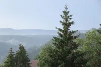 Anna's Apartment - Cozy Holiday Home in the Upper Harz Mountains