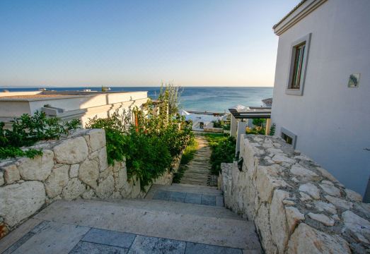 3. 베르티즈 보즈카..