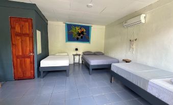 Rooms & Pool Macaws