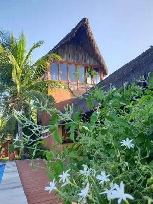 Pousada Peixe Galo Hotels in 