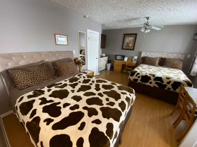 Wolseley Motel Hotel a 