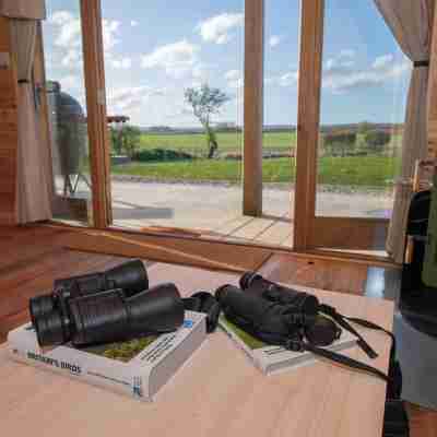 Glamping Pod 4 Truce Others