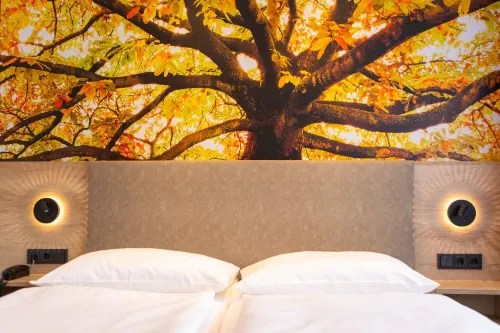 Hotel Garni Grundmühle Hotels in Bad Schandau