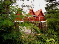 Green Gecko Hotels in 