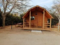 Kingman Koa