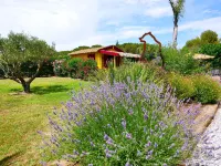 Domaine & Spa Mas Dels Esquirols - Wi-Fi