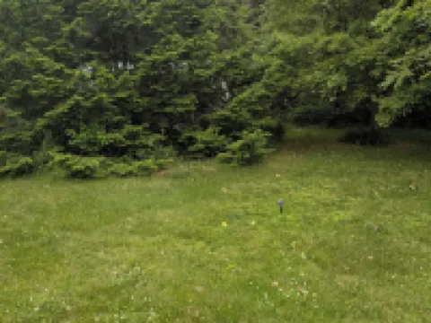 Cozy Tiny Home in Charming Bristol VT, Close to Skiing, Hiking, Swimming Holes Hotels in Addison County