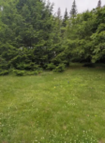 Cozy Tiny Home in Charming Bristol VT, Close to Major Ski Areas Free Ski Voucher