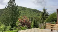 Ferienwohnung Waldblick Winterberg - Apartments