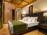 Ana Hotels Bradul Poiana Brasov Hotels near Ruia
