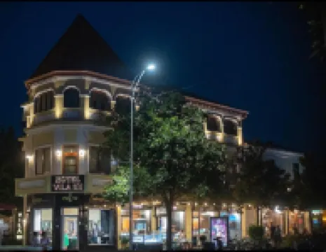 Hotel VILA 101 Hotel di Tirana