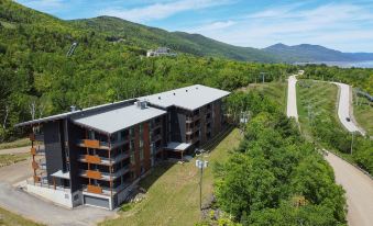 Les Caches de la Grande Pointe