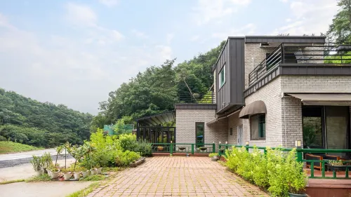 Chungnam Cheong-Yang Ekohillinghauseu Hotels in Cheongyang-gun