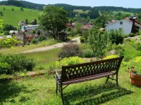 Blackforestbirdnest Hotel a Schonach