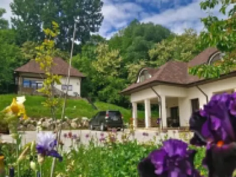 Provence Suceava Hotels in Suceava
