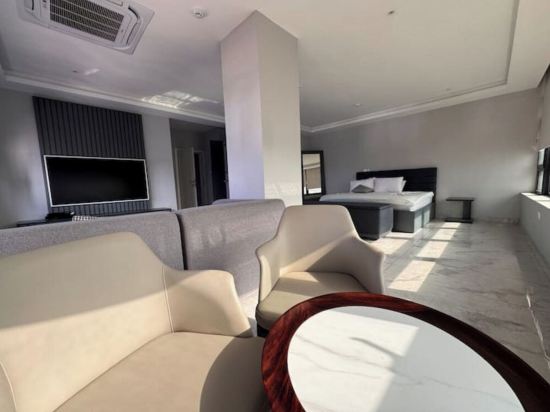 Spacious studio apartment