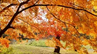 10 Min from Bus Stop You Can Enjoy Hot Spring Hotels in Usu District