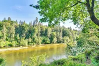 Riverfront Woodland Cabin: Wooded & Forested Views - 3-Star