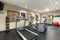 Hampton Inn & Suites Manchester-Bedford - Gym