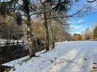 Le Cottage du Lignon - Elegant*calm*WIFI*Bord du Lignon