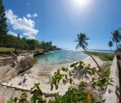 Beach House ( Hidden Paradise