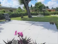 Cozy 1BR Apartment in Miami - WiFi, AC, Near Coconut Grove & Beaches