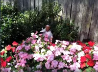 Carmel charmer!! Short, 10 min. walk to town center. Close to trail to Mission.