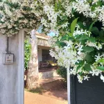 Portion of a villa within walking distance of Mondello.