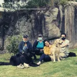 Hobbit mud house with stunning mountain views Hotels in Sutatausa