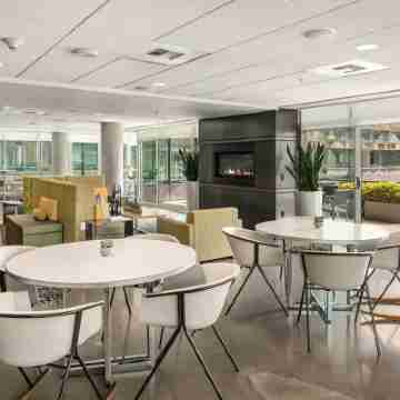 Penthouse 2b  2b +Gym +Yoga Room +Lounge +Pool +WiFi in Downtown Bellevue Others