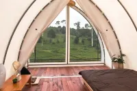 Nimo Tea Resort