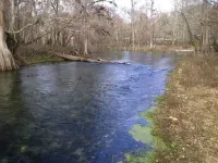 ICHETUCKNEE RIVER - Riverfront on the Crystal Clear Ichetucknee River