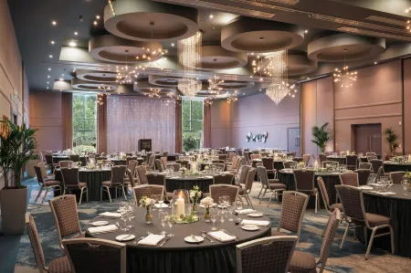 Carlton Hotel Blanchardstown Отели в г. Данбойн