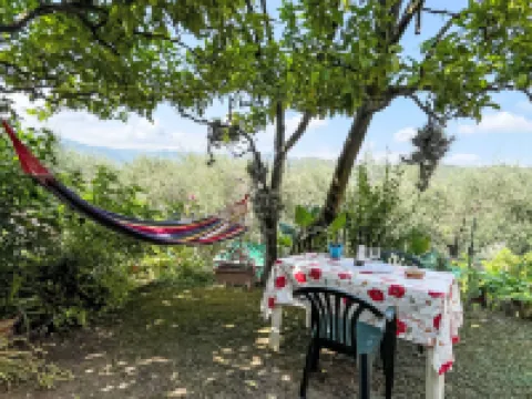 Elisa (Dol127) Hotels in Dolcedo