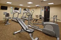 홀리데이 인 콜럼버스 다운타운-캐피톨 스퀘어 바이 IHG - 피트니스 시설