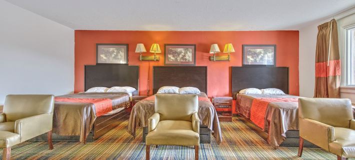 OYO Palm Leaf Motel Hotels in Hanover County