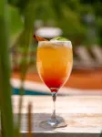Village Paraíso Tropical - bar