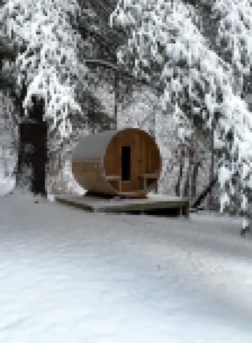 Cozy Cabin in the Woods on Big Trade Lake with Sauna and All Natural Cold Plunge