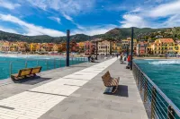 Mer Vivante - Front Beach - Happy Rentals
