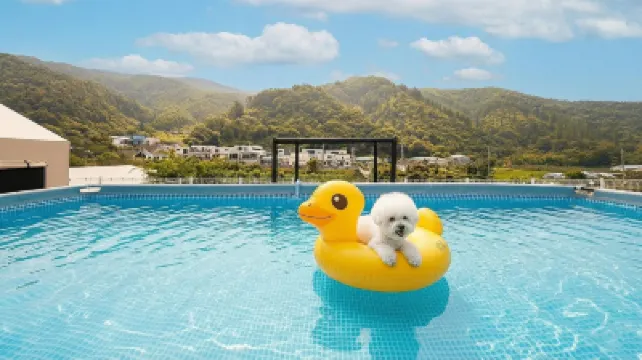 Gapyeong Ddobagi Pet & Spa Glamping Hoteles en 